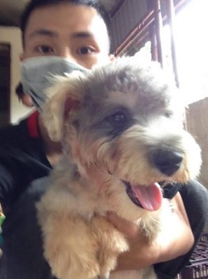 13617433_503826616492469_869031084_n