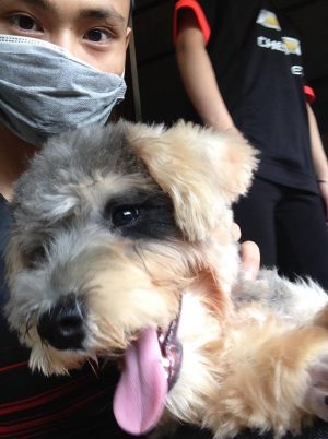 13624879_503826619825802_1496157295_n