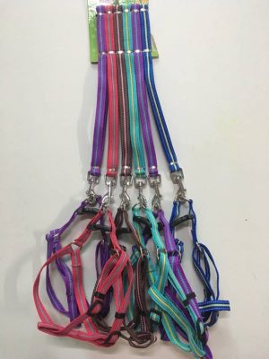 42754231_2414000275293115_8421236935267188736_n