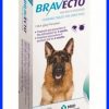 brav_b_large
