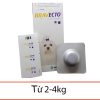 thuoc_bravecto_2_4kg_800x800