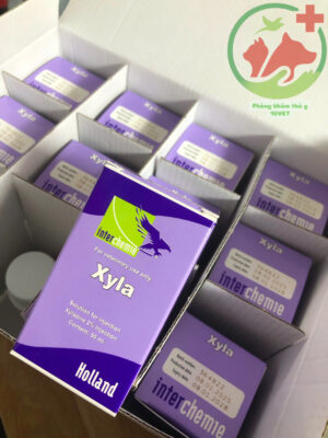 z6504418711633_986f61ff58727b266aab670438554180